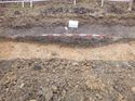 Thumbnail of Photo 1010360 north facing section of ditch [901304] taken at Hunts Green Farm