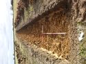 Thumbnail of Photo 1010391 east view of trench 81 taken at Hunts Green Farm