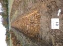 Thumbnail of Photo 1010393 west view of trench 81 taken at Hunts Green Farm