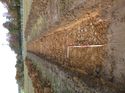 Thumbnail of Photo 1010394 west view of trench 81 taken at Hunts Green Farm