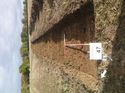 Thumbnail of Photo 1010399 northeast view of trench 47 taken at Hunts Green Farm