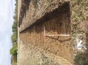 Thumbnail of Photo 1010400 northeast view of trench 47 taken at Hunts Green Farm