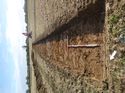 Thumbnail of Photo 1010406 northeast view of trench 52 taken at Hunts Green Farm
