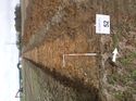 Thumbnail of Photo 1010408 southwest view of trench 52 taken at Hunts Green Farm