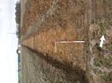 Thumbnail of Photo 1010410 southwest view of trench 52 taken at Hunts Green Farm