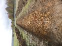 Thumbnail of Photo 1010414 northeast view of trench 78 taken at Hunts Green Farm