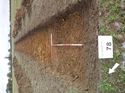 Thumbnail of Photo 1010415 northeast view of trench 78 taken at Hunts Green Farm