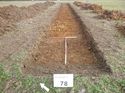 Thumbnail of Photo 1010416 northeast view of trench 78 taken at Hunts Green Farm