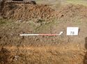 Thumbnail of Photo 1010418 northwest facing representative section of trench 78 taken at Hunts Green Farm