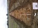 Thumbnail of Photo 1010420 southwest view of trench 59 taken at Hunts Green Farm