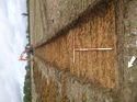 Thumbnail of Photo 1010423 northeast view of trench 59 taken at Hunts Green Farm