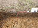 Thumbnail of Photo 1010424 northwest facing representative section of trench 59 taken at Hunts Green Farm