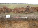 Thumbnail of Photo 1010429 northwest facing representative section of trench 81 taken at Hunts Green Farm