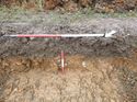 Thumbnail of Photo 1010431 northwest facing representative section of trench 81 taken at Hunts Green Farm
