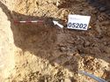 Thumbnail of Photo 1010439 southwest facing section of pit [905202] taken at Hunts Green Farm