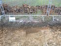 Thumbnail of Photo 1010462 northeast facing section of [907803] taken at Hunts Green Farm