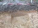 Thumbnail of Photo 1010464 northeast facing section of [907803] taken at Hunts Green Farm