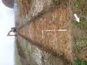 Thumbnail of Photo 1010476 southeast overview of trench 55 taken at Hunts Green Farm