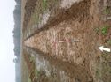 Thumbnail of Photo 1010478 northwest overview of trench 55 taken at Hunts Green Farm