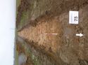 Thumbnail of Photo 1010479 south overview of trench 75 taken at Hunts Green Farm