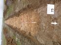 Thumbnail of Photo 1010481 south overview of trench 75 taken at Hunts Green Farm