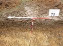 Thumbnail of Photo 1010486 west facing representative section of trench 75 taken at Hunts Green Farm