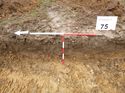 Thumbnail of Photo 1010487 west facing representative section of trench 75 taken at Hunts Green Farm