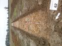 Thumbnail of Photo 1010492 northeast overview of trench 62 taken at Hunts Green Farm