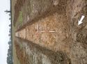 Thumbnail of Photo 1010493 northeast overview of trench 62 taken at Hunts Green Farm