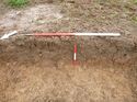 Thumbnail of Photo 1010500 northwest facing representative section of trench 62 taken at Hunts Green Farm