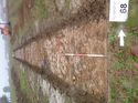 Thumbnail of Photo 1010503 west overview of trench 68 taken at Hunts Green Farm