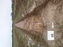 Thumbnail of Photo 1010505 east overview of trench 68 taken at Hunts Green Farm