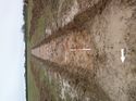 Thumbnail of Photo 1010506 east overview of trench 68 taken at Hunts Green Farm