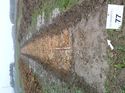 Thumbnail of Photo 1010515 northwest view of trench 77 taken at Hunts Green Farm