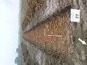 Thumbnail of Photo 1010517 southeast view of trench 77 taken at Hunts Green Farm