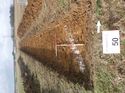 Thumbnail of Photo 1010532 west view of trench 50 taken at Hunts Green Farm