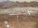 Thumbnail of Photo 1010535 north facing representative section of trench 50 taken at Hunts Green Farm