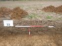 Thumbnail of Photo 1010541 west facing representative section of trench 33 taken at Hunts Green Farm