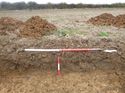 Thumbnail of Photo 1010542 west facing representative section of trench 33 taken at Hunts Green Farm