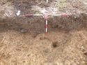 Thumbnail of Photo 1010544 north facing section of bioturbation [906803] taken at Hunts Green Farm