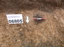 Thumbnail of Photo 1010546 north facing section of bioturbation [906805] taken at Hunts Green Farm