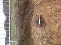 Thumbnail of Photo 1010548 north facing section of bioturbation [906805] taken at Hunts Green Farm
