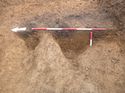 Thumbnail of Photo 1010552 west facing section of bioturbation [906809] taken at Hunts Green Farm