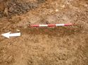 Thumbnail of Photo 1010569 east view of natural feature within trench 71 taken at Hunts Green Farm