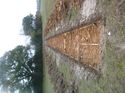 Thumbnail of Photo 1010582 south view of trench 84 taken at Hunts Green Farm