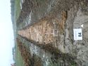 Thumbnail of Photo 1010583 north view of trench 84 taken at Hunts Green Farm