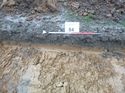 Thumbnail of Photo 1010585 east facing representative section of trench 84 taken at Hunts Green Farm