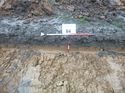 Thumbnail of Photo 1010586 east facing representative section of trench 84 taken at Hunts Green Farm