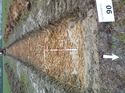 Thumbnail of Photo 1010594 south view of trench 90 taken at Hunts Green Farm