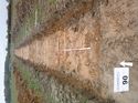 Thumbnail of Photo 1010596 north view of trench 90 taken at Hunts Green Farm